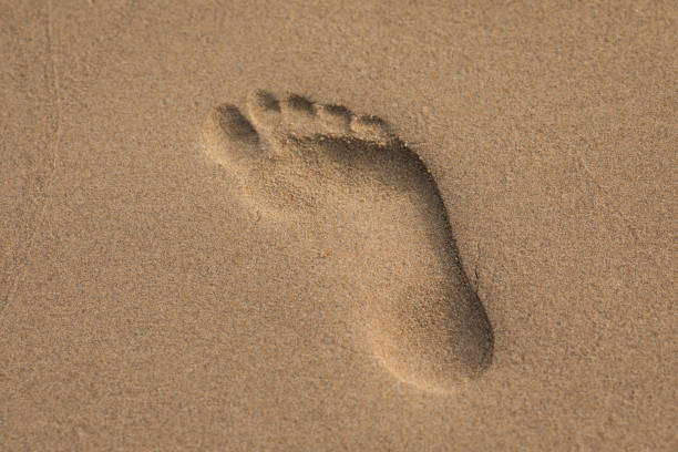 istock Footprints in the sand at the sea 1125228629