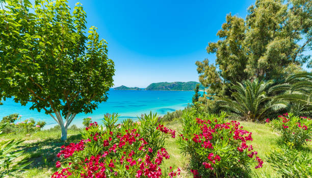 Amazing view at Agios Georgios Pagon beach in Corfu island, Greece
