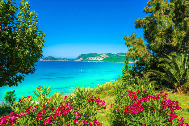 summer landscape on corfu - pacific ocean fotos imagens e fotografias de stock