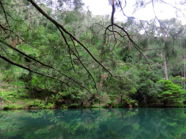 istock emerald green lake pond nature forest mountain 1125244108