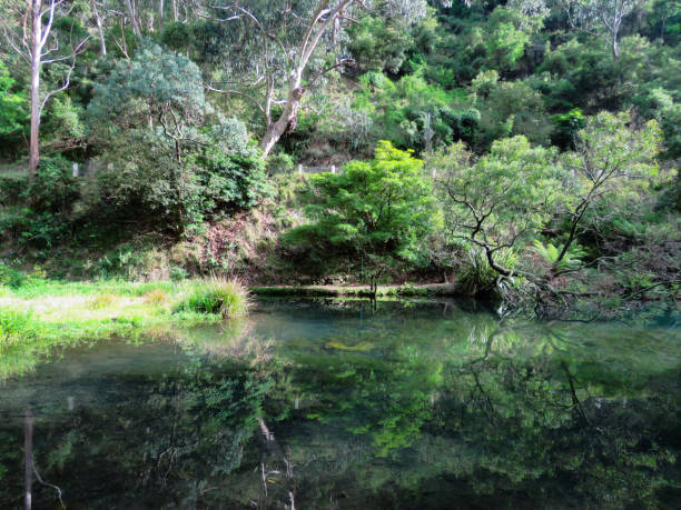 istock emerald green lake pond nature forest mountain 1125244293