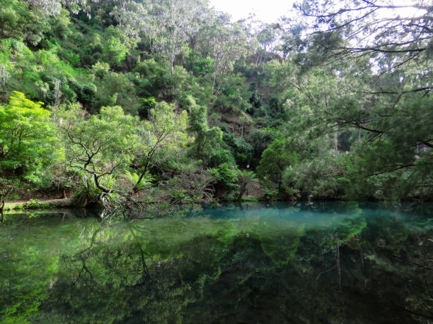 istock emerald green lake pond nature forest mountain 1125244559