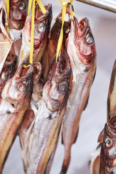 istock Dried fishes 1125263644