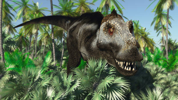 istock Tyrannosaurus 1125264123