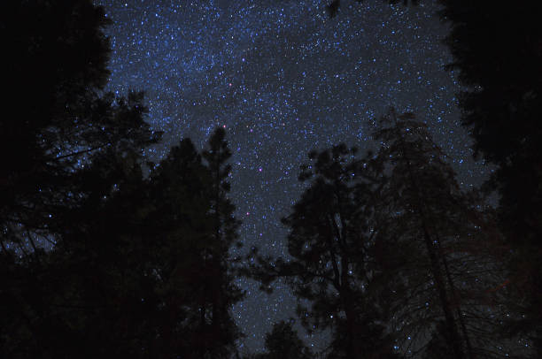 istock Starlit sky in Yosemite 1125284152
