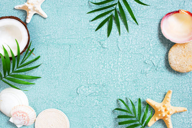 istock Light blue background with shells, coconut and palm leaves 1125291055