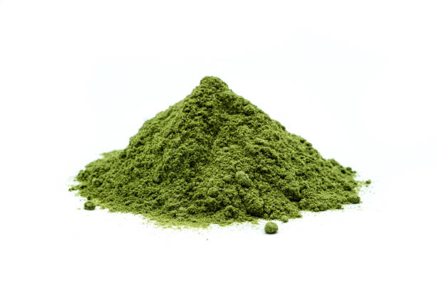 barley grass powder isolated on white background - barley grass fotos imagens e fotografias de stock