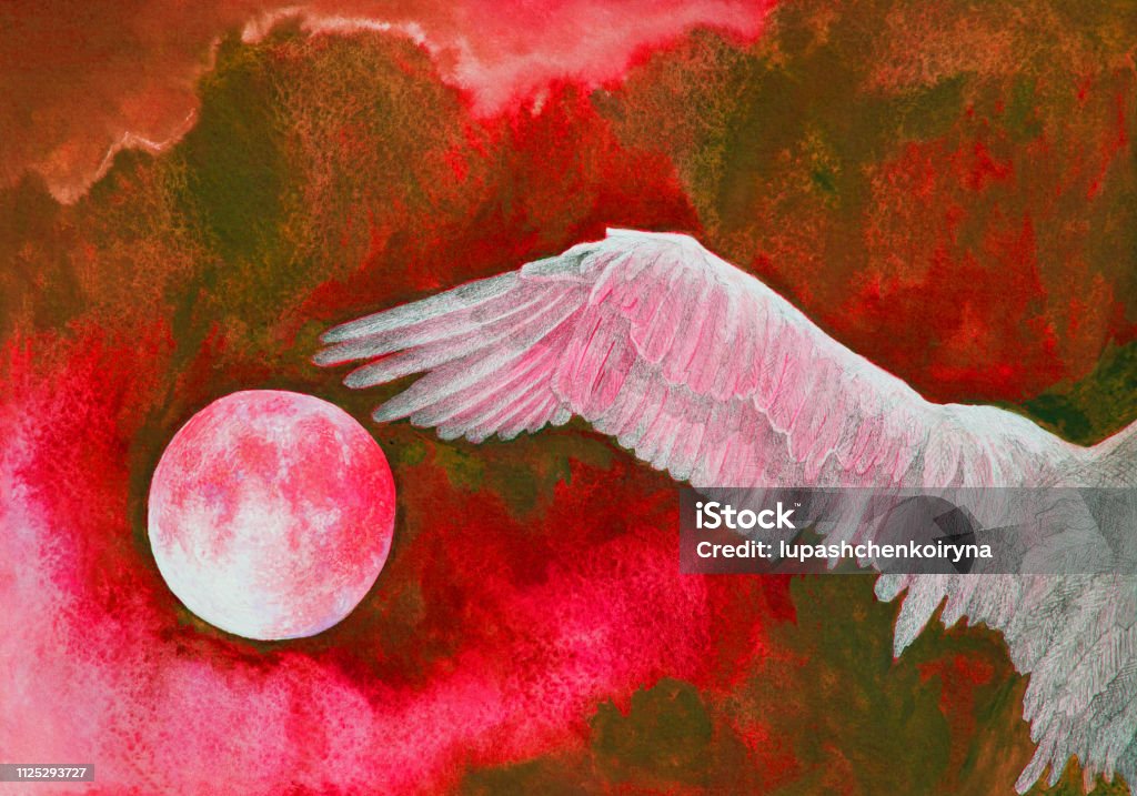 Fashionable illustration modern artwork my original watercolor painting impressionism horizontal symbolic sky landscape setting sun in the clouds and a wing of a flying white bird in intense red hues Fashionable illustration modern artwork my original watercolor painting impressionism horizontal symbolic sky landscape setting sun in the clouds and a wing of a flying white bird in intense red hues against the sky in the form of spreading red paint Animal Wing stock illustration