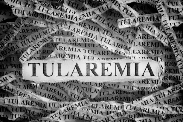 Torn pieces of paper with the words Tularemia Tularemia. Torn pieces of paper with the words Tularemia. Concept image. Black and White. Close up. tularemia stock pictures, royalty-free photos & images