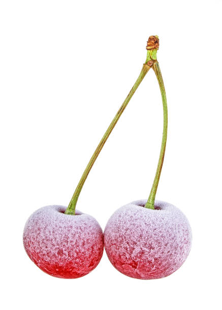 Fresh cherries