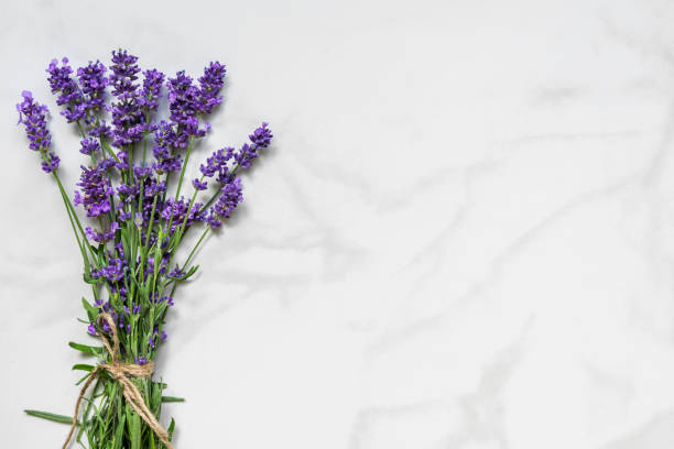 istock Beautiful lavender flowers bouquet on white marble table with copy space for your text. top view. flat lay 1125295206