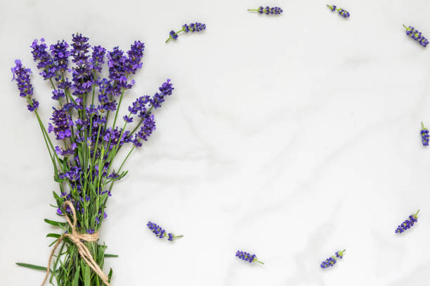 istock lavender flowers bouquet on white marble table with copy space for your text. top view. flat lay 1125295269