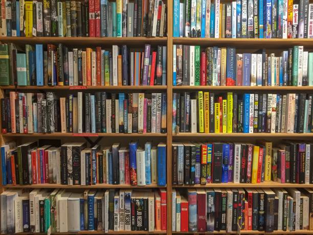 istock Wooden shelves with books 1125296411