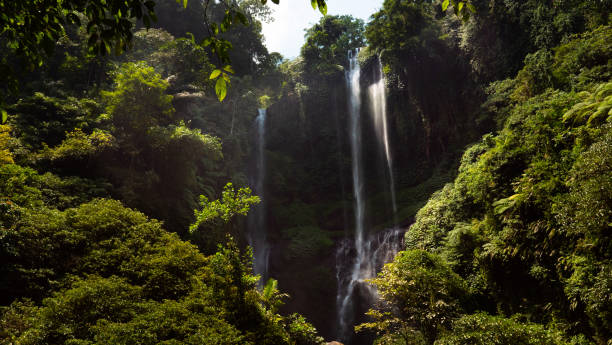 istock Beautiful tropical waterfall Bali,Indonesia 1125306621