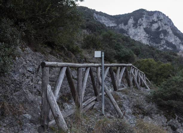 istock wooden railings forest hiking path blank white sign 1125309325