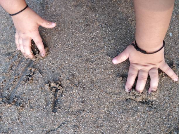 istock Baby hands playing in sand at beach 1125309359