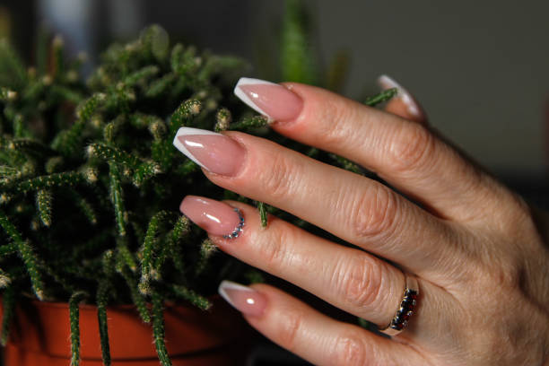 istock Woman's hands touching leaves of small cactus 1125311096