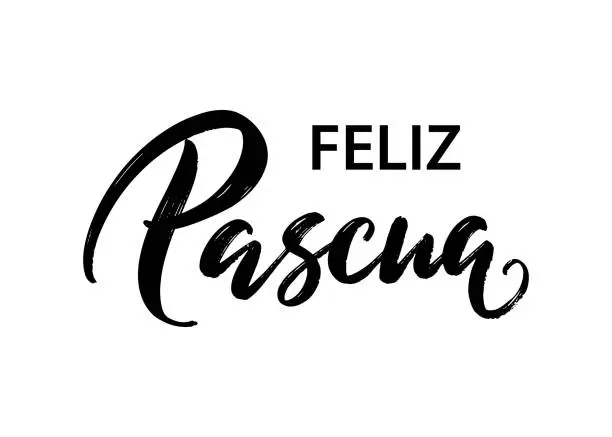 Vector illustration of Feliz Pascua - Happy Easter hand lettering in Spanish language. Modern ink calligraphy. Vector isolated on white background. Seasons Greetings for print, postcard, card, invitation, poster, banner.