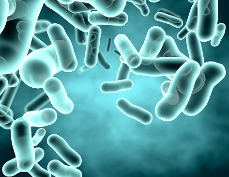 Blue transparent bacteria strain.