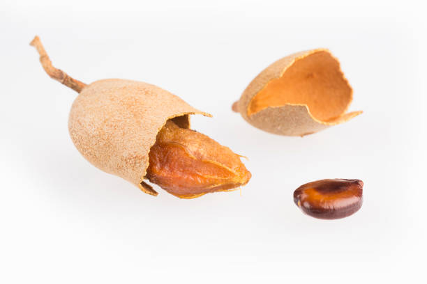istock Tamarind tropical fruit - Tamarindus indica. White background 1125318437