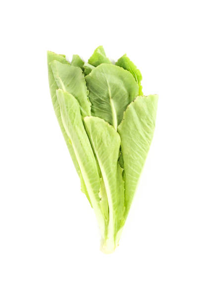 istock Salad leaf. Lettuce isolated Close up 1125320270