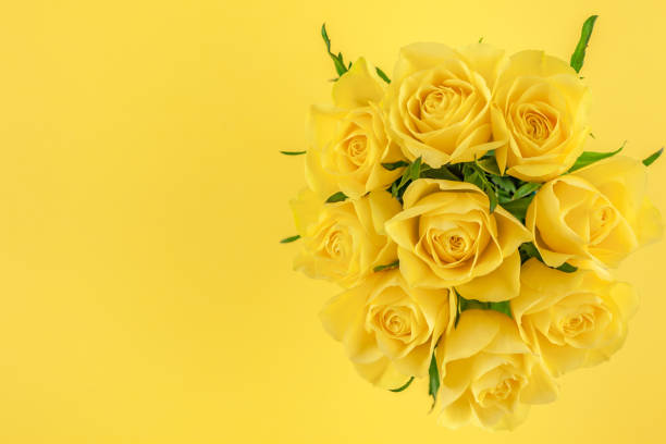 istock Fresh yellow roses bouquet 1125323030