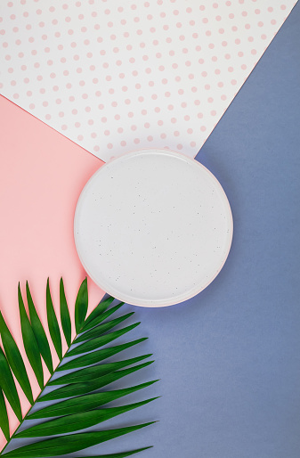 Creative flat lay top view of green tropical palm leaves millennial pink paper background with empty plate mock up copy space. Minimal tropical palm leaf plants summer template for your text or design