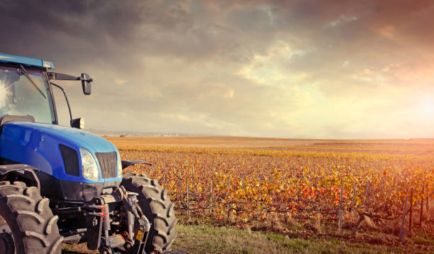 Tractor at vineyards in champagne region at Verzenay in sunrise light