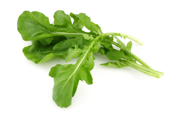 istock Bunch of fresh rucola on white background 1125325738