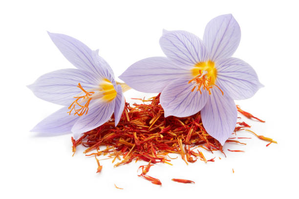 사프란 크 로커 스 꽃 흰색 배경 - crocus flower saffron yellow 뉴스 사진 이미지