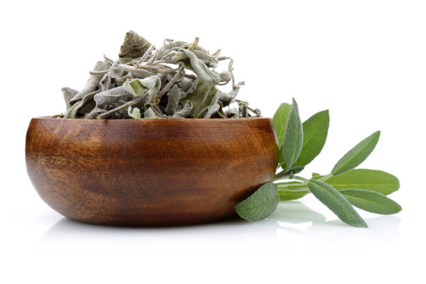 istock Dry sage in bowl and green sage leaves 1125328733