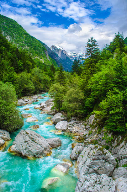 istock rafting sport background river course valley vertical nature panorama 1125330320