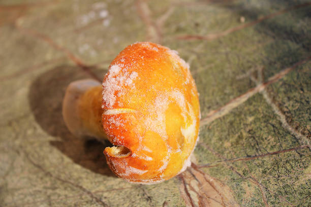 istock Amanita caesarea mushroom on the table 1125331095