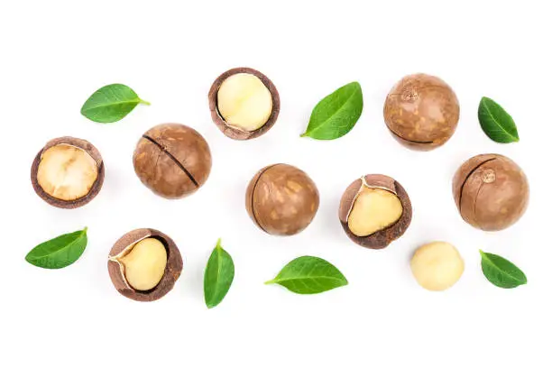 Photo of Shelled and unshelled macadamia nuts with leaves isolated on white background with copy space for your text. Top view. Flat lay pattern