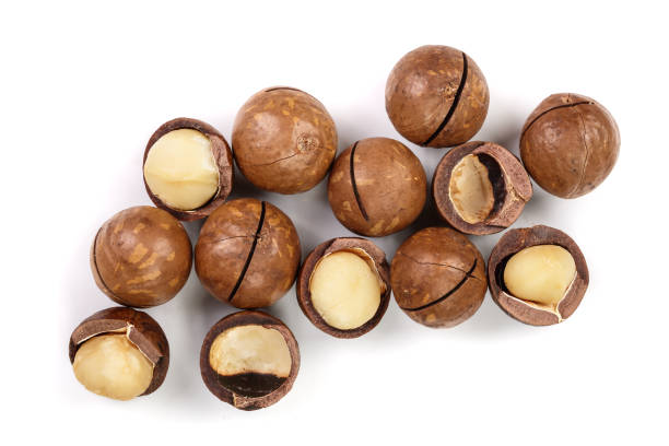 istock Shelled and unshelled macadamia nuts isolated on white background. Top view. Flat lay pattern 1125333441