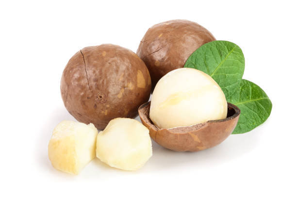 istock Shelled and unshelled macadamia nuts with leaves isolated on white background 1125333445