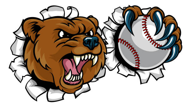 illustrazioni stock, clip art, cartoni animati e icone di tendenza di orso che tiene palla da baseball che rompe lo sfondo - baseballs baseball breaking broken