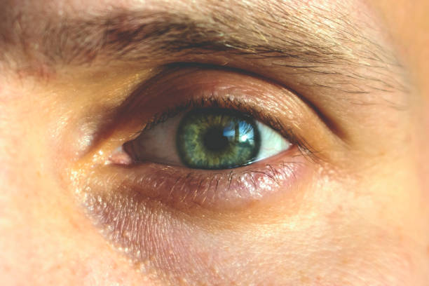 istock beautiful mystical green eye, retro toned 1125340494