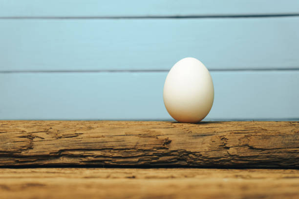 istock White Egg on a old oak wooden table blue background. 1125350084