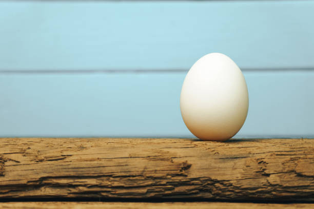 istock White Egg on a old oak wooden table blue background. 1125350135