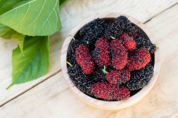 istock mullberry agriculture organic fruit high vitamin c from nature 1125350262