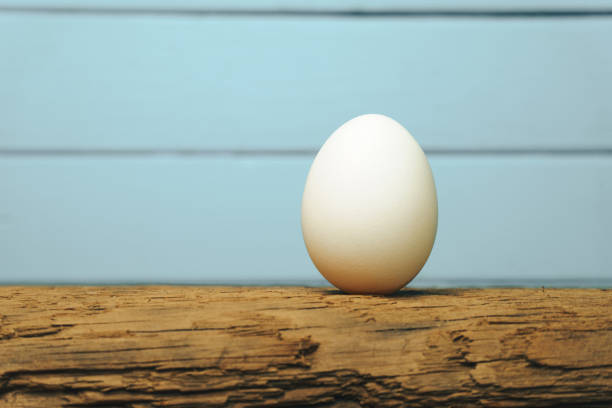 istock White Egg on a old oak wooden table blue background. 1125350401
