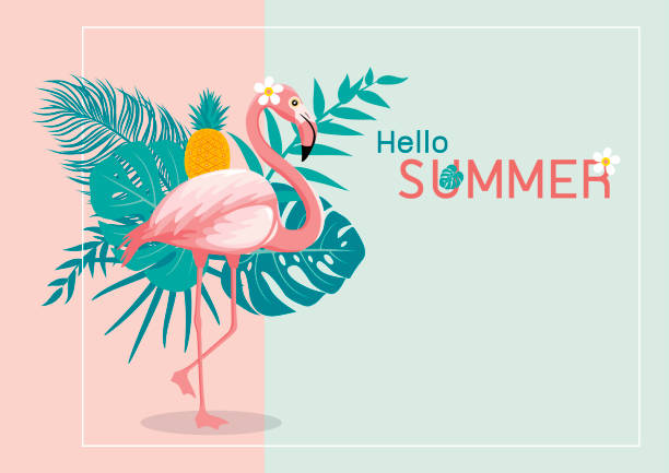 illustrations, cliparts, dessins animés et icônes de création de bannière d’été de flamingo et tropical laisse avec illustration vectorielle de copie espace - coral break
