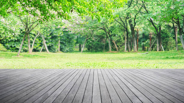 istock Empty Wooden Platform And Spring Green Forest Background 1125354692