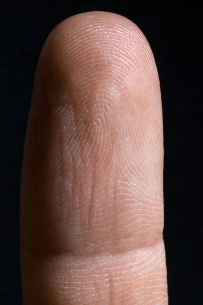 istock an image of human finger close up 1125357408