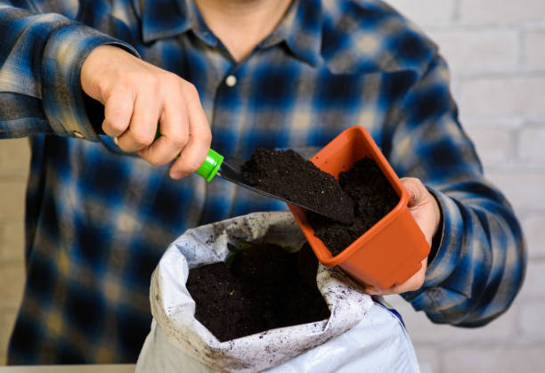 istock A man pours soil into a container for seedlings 1125358262