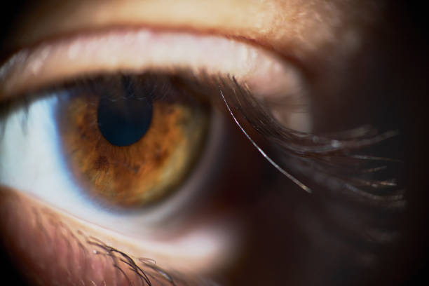 istock Sad Brown Woman Eye Looking Down Close-Up 1125361479