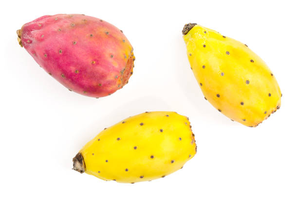 istock red end yellow prickly pear or opuntia isolated on a white background. Top view. Flat lay 1125362886