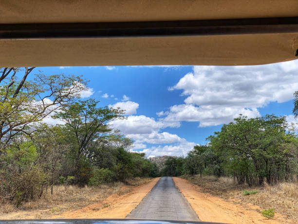 istock Driving through Matopos National Park, Zimbabwe 1125362984