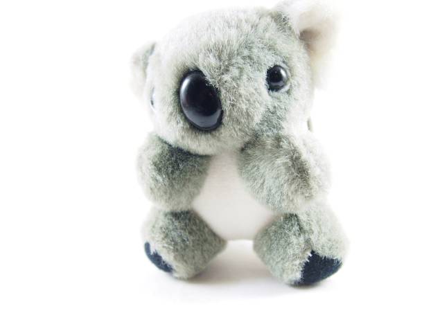 istock Gray koala bear doll, soft toy and souvenir 1125364876